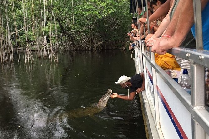 Black River Safari/YS Falls plus Floyd's Pelican Bar Private Tour - The Black River by pontoon boat