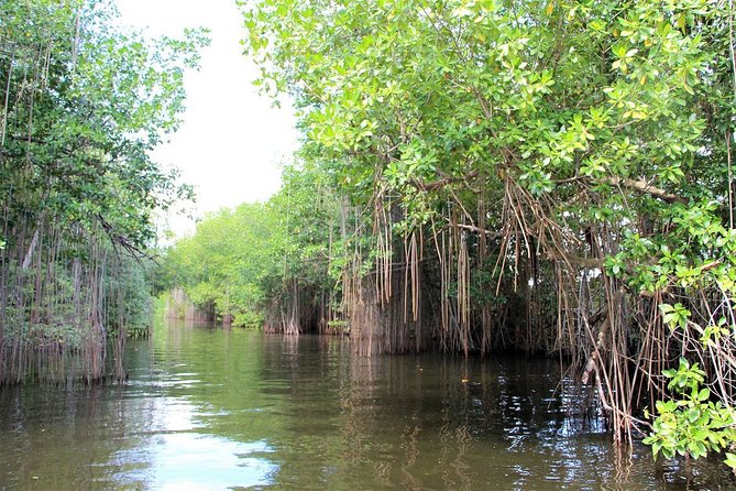 Black River Safari/YS Falls plus Floyd's Pelican Bar Private Tour - Is $194.88 per person good value?
