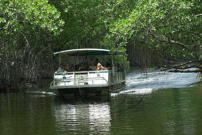 Black River Safari/YS Falls plus Floyd's Pelican Bar Private Tour - Timing, comfort, and what to plan for