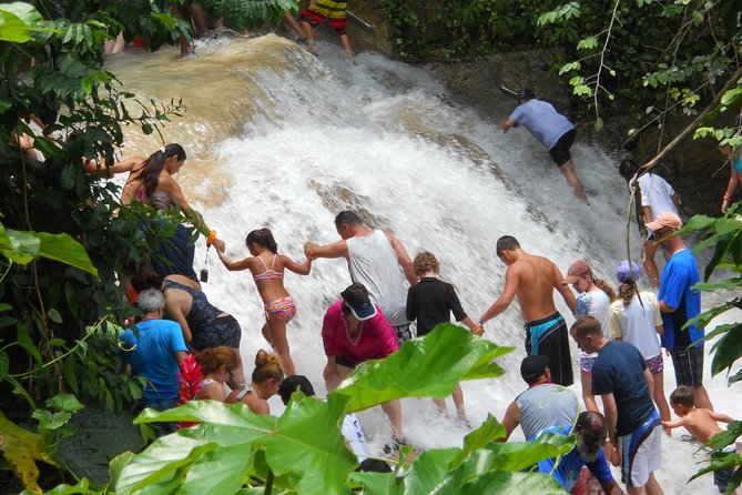 Blue Hole and Dunn's River Falls from Montego Bay - Why this private day works from Montego Bay