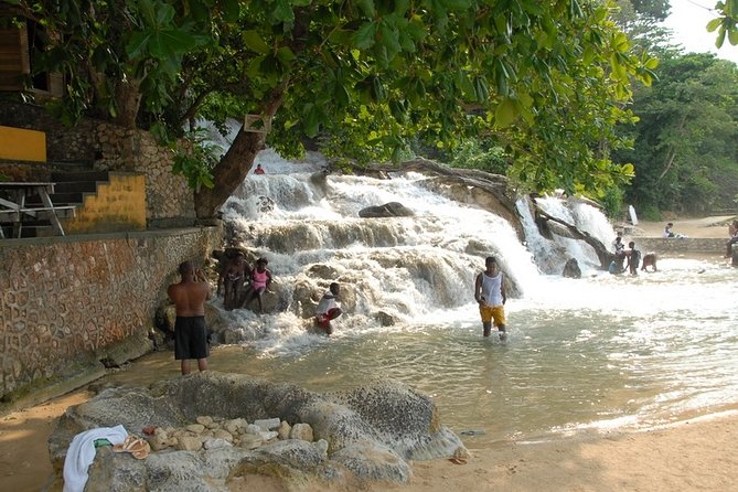 Blue Hole and Dunn's River Falls Tour from Montego Bay - Who should book this private Jamaica tour?