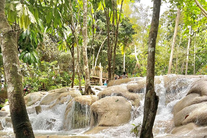 Blue Hole and Dunn's River Tour (Entrance Fees Not Included) - The drivers are a major part of the experience