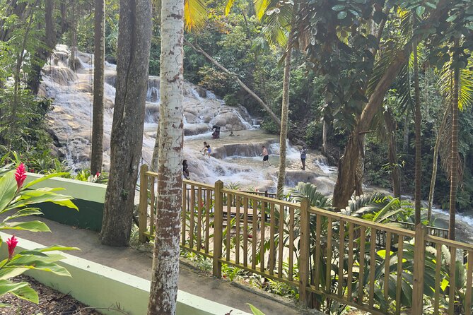 Blue Hole and Dunn's River Tour (Entrance Fees Not Included) - A private day with room for local flavor