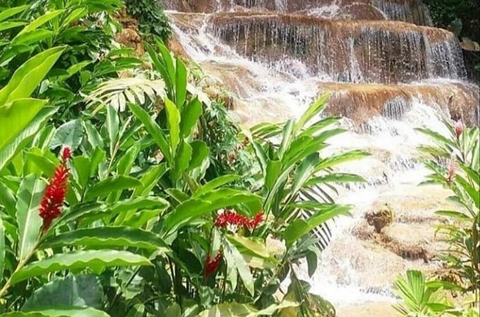 Blue Hole And Konoko Falls Combo Tour From Ocho Rios & Runaway Bay! - The driver can make or break the outing