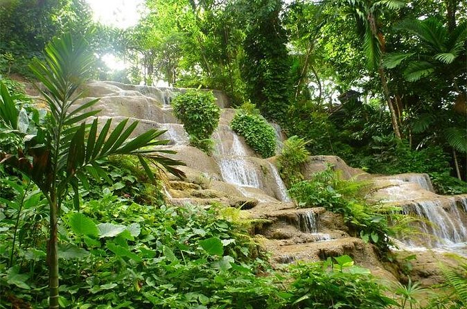 Blue Hole And Konoko Falls Combo Tour From Ocho Rios & Runaway Bay! - Small groups and private-style value