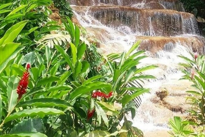 Blue Hole And Konoko Falls Combo Tour From Ocho Rios & Runaway Bay! - Timing the day from a hotel or cruise ship