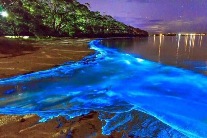 Blue Hole and Secret Falls with Luminous Lagoon(Glistening Waters) Private Tour - Leaving Montego Bay for the Blue Hole