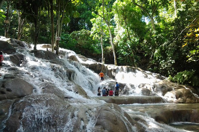 Blue Hole, Dunn's River Falls Luminous Lagoon Excursion From Montego Bay - The Blue Hole brings ropes, caves, and waterfalls