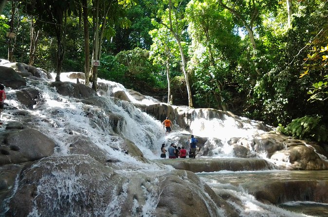 Blue Hole, Dunn's River Falls Luminous Lagoon Excursion From Montego Bay - The guide can shape the whole experience
