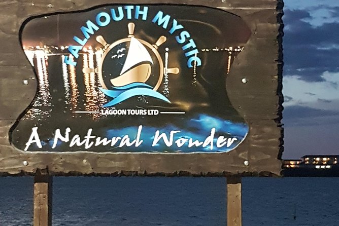 Blue Hole, Dunn's River Falls Luminous Lagoon Excursion From Montego Bay - Who should book this Jamaican excursion?