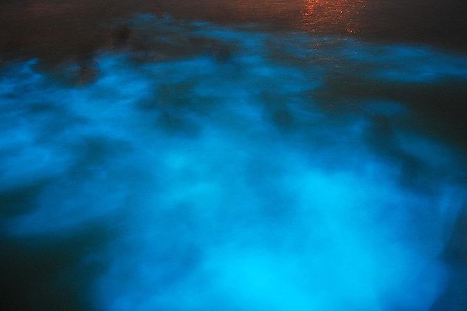 Blue Hole/ Dunn's River Falls & Luminous Lagoon (Glistening water) 3 in 1 combo - Why this three-stop plan works