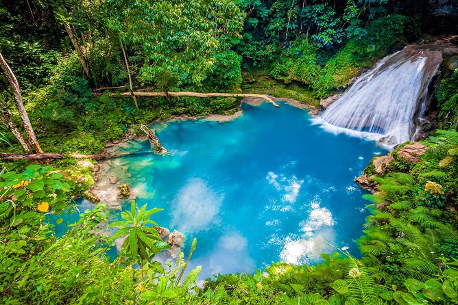 Blue Hole, Dunn’s River & Island Gully Falls Guided Tour - Dunn’s River Falls: climbing a waterfall to the sea