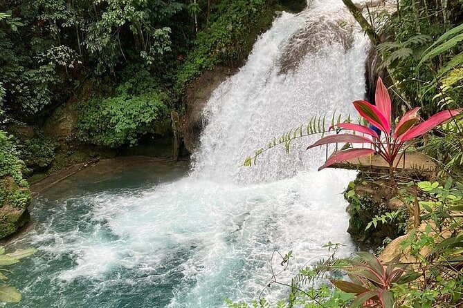 Blue Hole From Ocho Rios - Is $42.67 a Good Price?