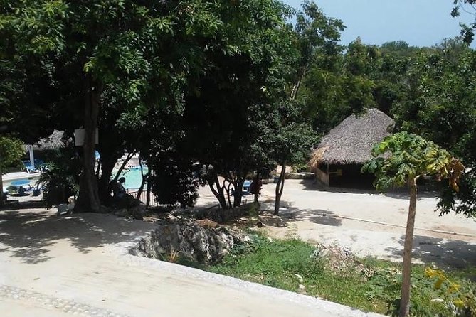 Blue Hole Mineral Spring and Ricks Cafe Private Tour - What the $160 price really covers
