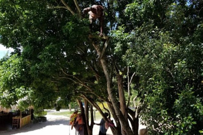 Blue Hole Mineral Spring and Ricks Cafe Private Tour - Who will enjoy this private day most