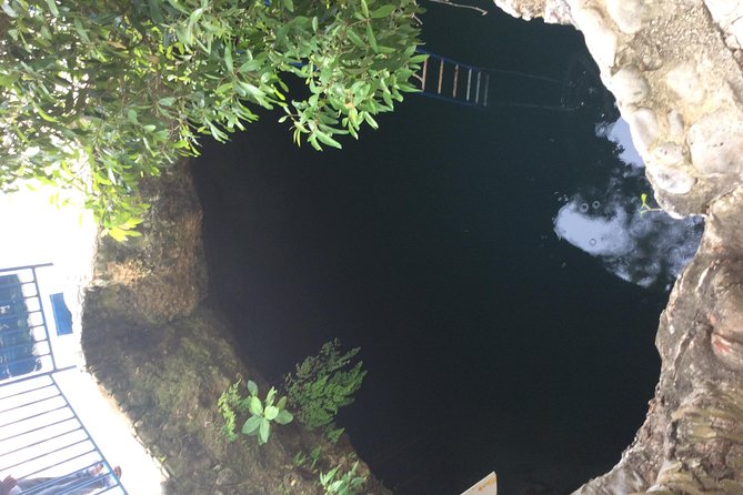 Blue Hole Mineral Springs, Rick's Café, and Shopping Combo Tour - What the $75 price really covers