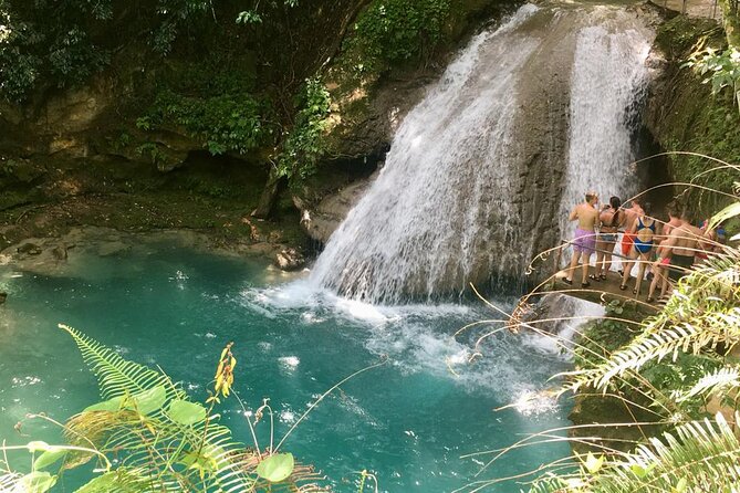 Blue Hole or Dunns River and Luminous Lagoon from Montego Bay - Key points to know before booking