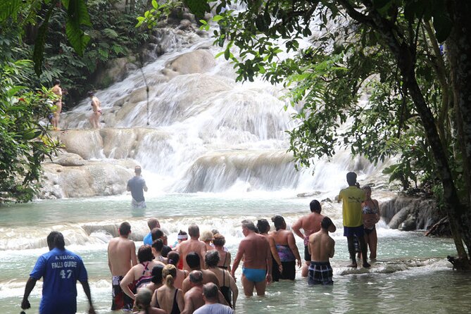 Blue Hole or Dunns River and Luminous Lagoon from Montego Bay - Luminous Lagoon after dark