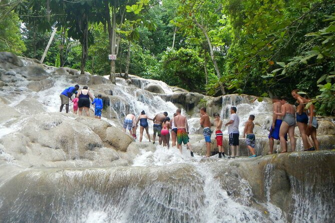 Blue Hole or Dunns River and Luminous Lagoon from Montego Bay - Who will get the most from this excursion?