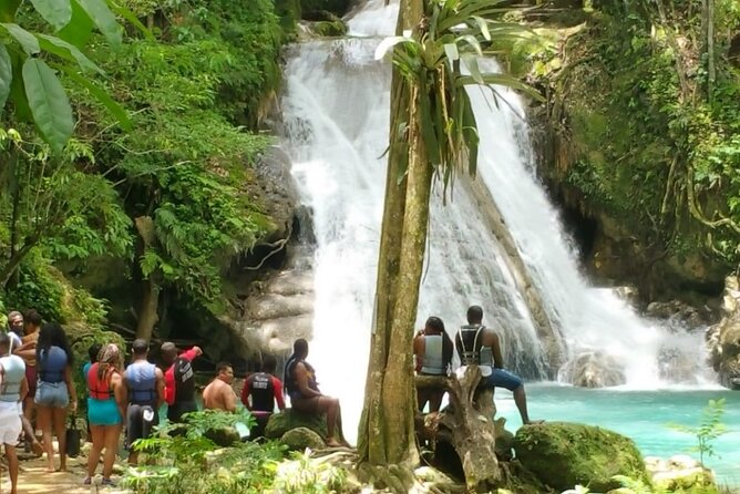Blue Hole/Secert falls and Dunns River Combo Tour - Who will enjoy this tour most