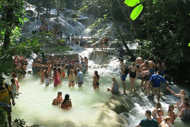 Blue Hole, Secret fall, Dunn's River Falls, Half Day Tour Combo - Key points to know before booking