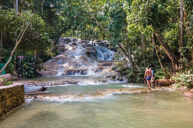 Blue Hole, Secret fall, Dunn's River Falls, Half Day Tour Combo - The Blue Hole: clear pools, jumps, and rope swings