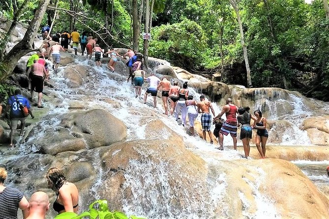 Blue Hole, Secret Falls, and Dunn's River Falls Combo Day-Trip - From Montego Bay to Jamaica’s north coast
