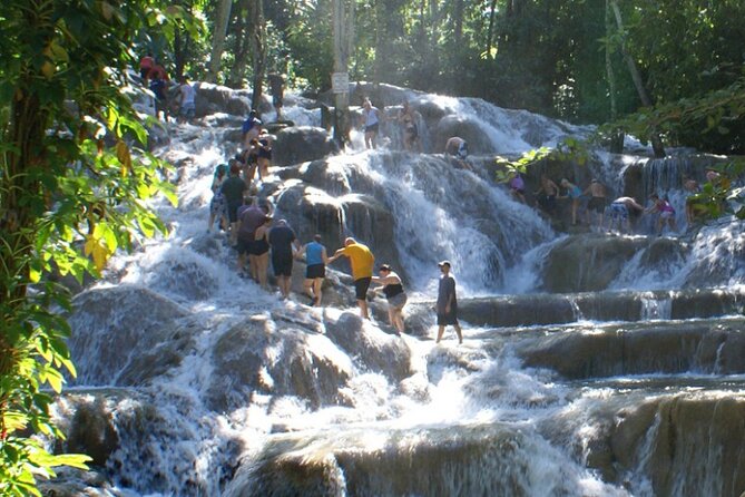 Blue Hole & Secret Falls Private Tour - Cool Blue Hole: clear water and simple thrills