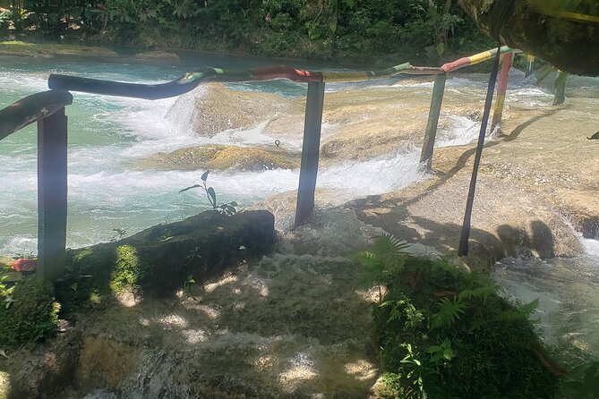 Blue Hole & Secret Waterfalls Tour from Falmouth Cruise Ships - Who should choose this private outing