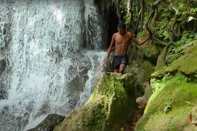 Blue Hole Waterfalls and Rasta Garden from Montego Bay - Calby’s Hidden Beauty River and a Rastafari home