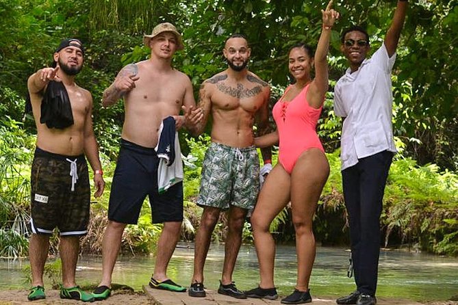 Blue Hole Waterfalls (from Montego Bay) - Rope swings, jumps, and several levels of water play