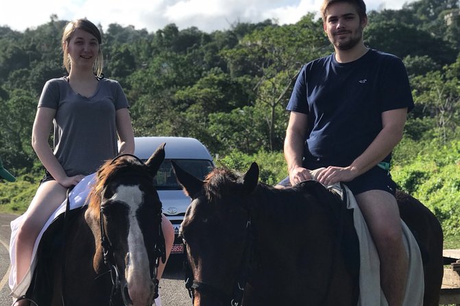 Blue hole waterfalls + horseback riding from Montego bay - Quick take: the details that matter most