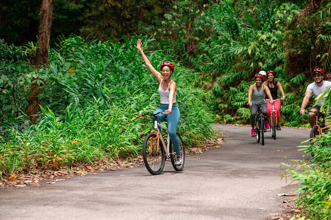 Blue Mountain Bicycle Tour - Key details to know before you book