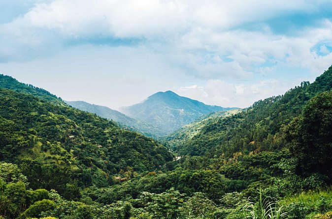 Blue Mountain Bicycle Tour - What makes this day feel more authentic