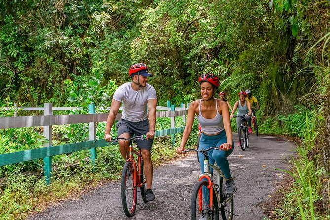 Blue Mountain Bicycle Tour - Who will enjoy this Blue Mountain tour