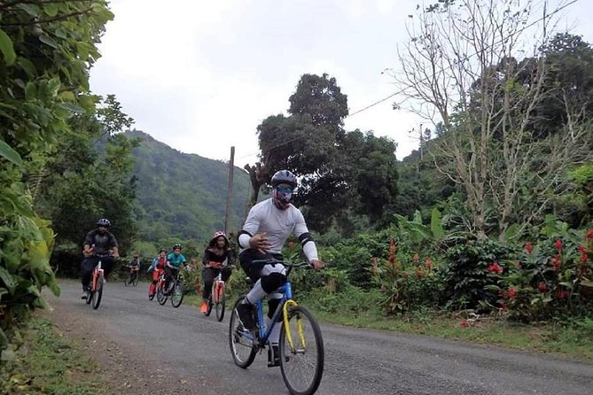 Blue Mountain Bicycle Tour from Montego Bay - What the day is really like from Montego Bay