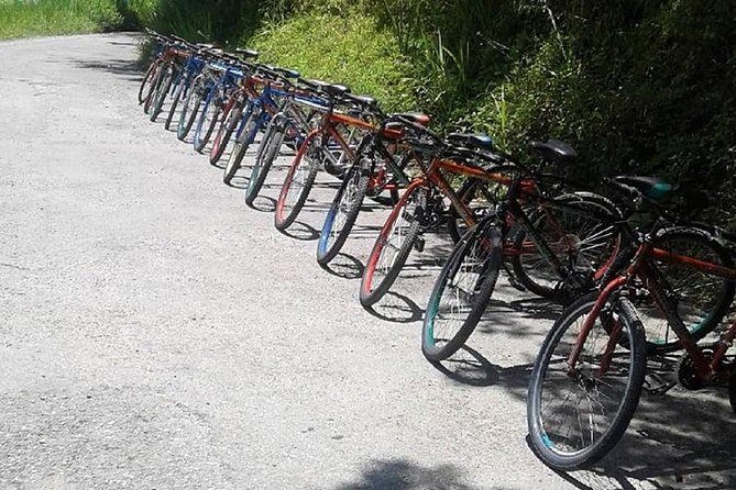 Blue Mountain Bicycle Tour from Montego Bay - Safety and the role of the guide