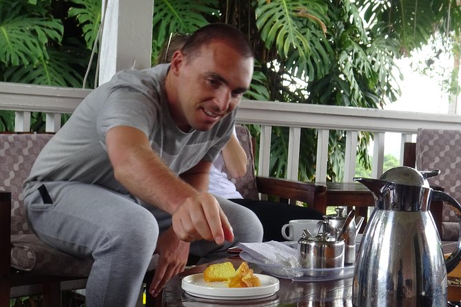 Blue Mountain Coffee and Sightseeing Tour - Why this Kingston tour works well as a half-day outing