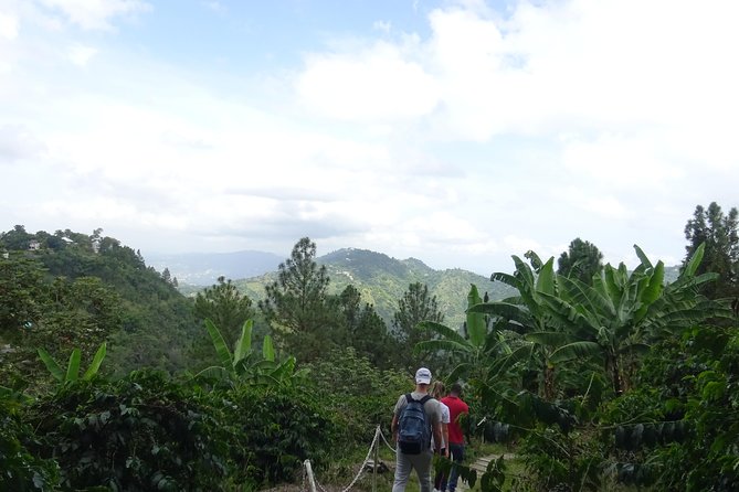 Blue Mountain Coffee and Sightseeing Tour - Is $325 per person a fair price?