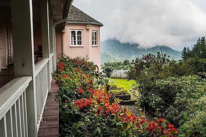 Blue Mountain Coffee, Bob Marley and Art Tour from Montego Bay - Why this day trip covers so much ground