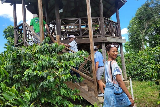 Blue Mountain Path Finder - The green roads of Saint Andrew Parish
