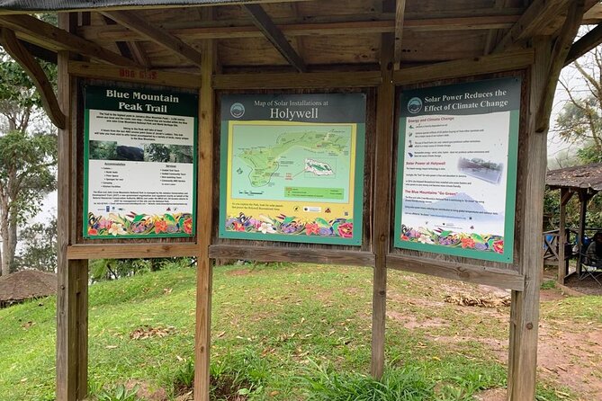 Blue Mountain Peek, and Site Seeing - What the Hike Is Really Like