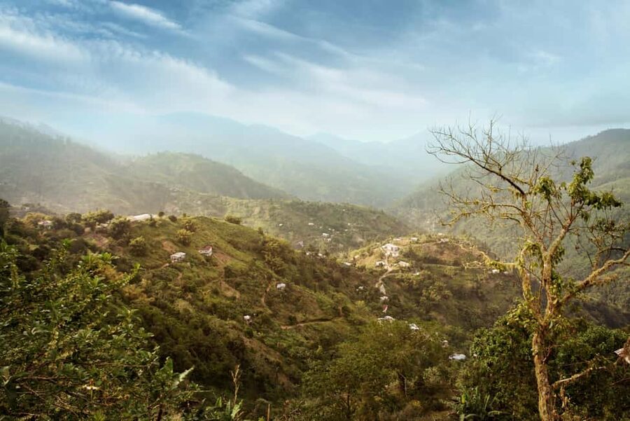 Blue Mountain Tour: A Half-Day Escape from Kingston - Leaving Kingston for the Blue Mountains