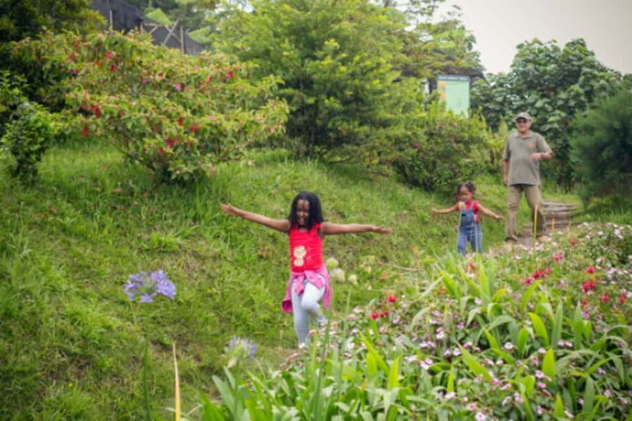 Blue Mountain Tour: A Half-Day Escape from Kingston - Newcastle JDF Camp and Jamaica’s military past