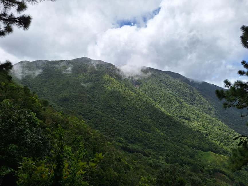 Blue Mountain Tour: A Half-Day Escape from Kingston - Holywell Park: the heart of the five-hour outing