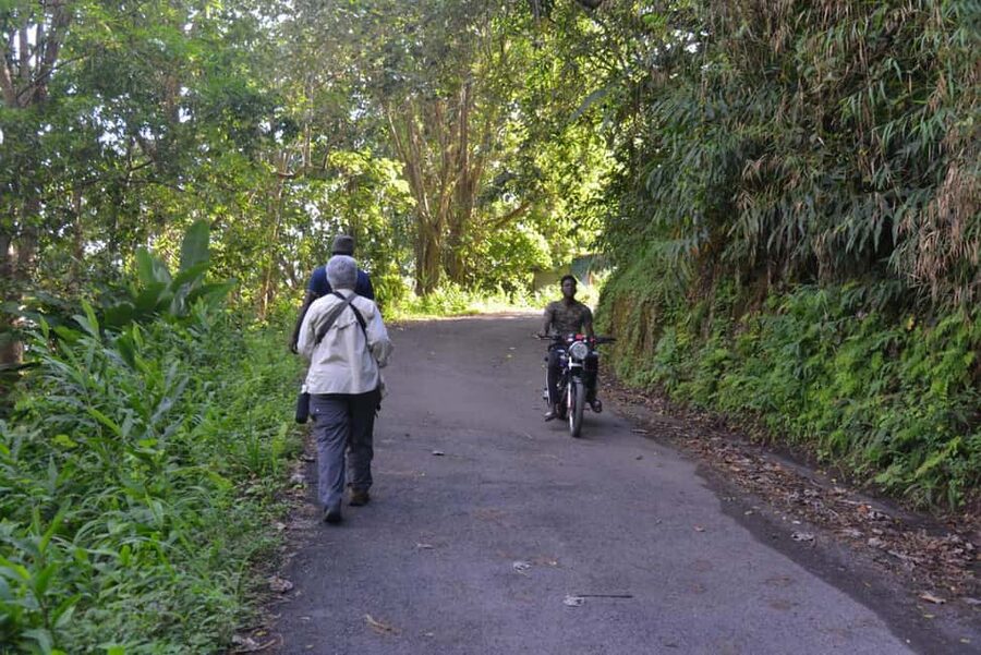 Blue Mountain Tour: A Half-Day Escape from Kingston - How much time do you really get outdoors?