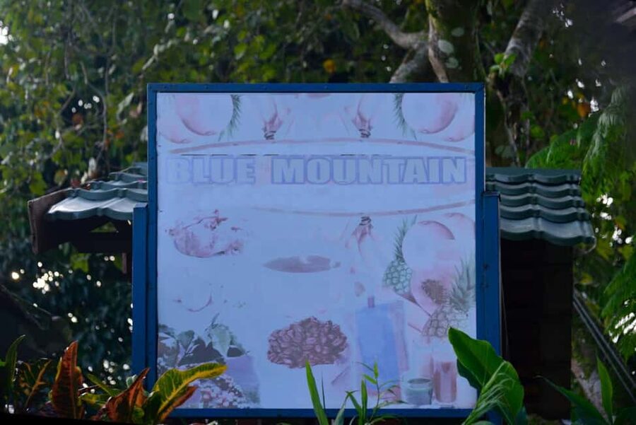 Blue Mountain Tour: A Half-Day Escape from Kingston - Irish Town: a 15-minute introduction to the hills