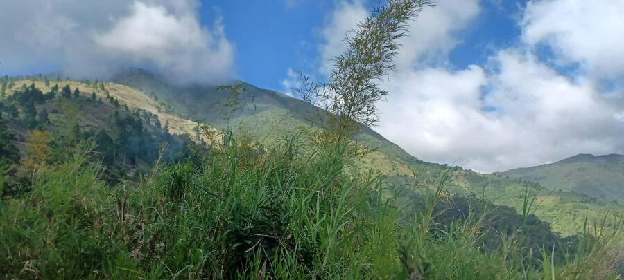 BLUE MOUNTAIN TOUR FROM OCHO RIOS - Leaving Ocho Rios for Jamaica’s eastern side