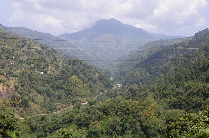 Blue Mountain Tour with Hotel Transportation - Is $175 a fair price?