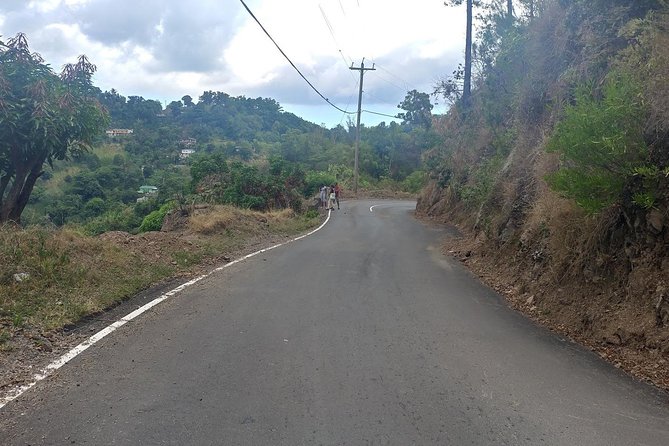 Blue Mountains Coffee Private Tour from Kingston - What the private format changes